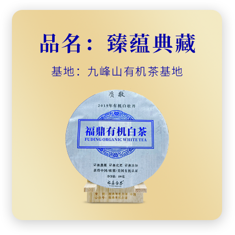 质敬2019牡丹