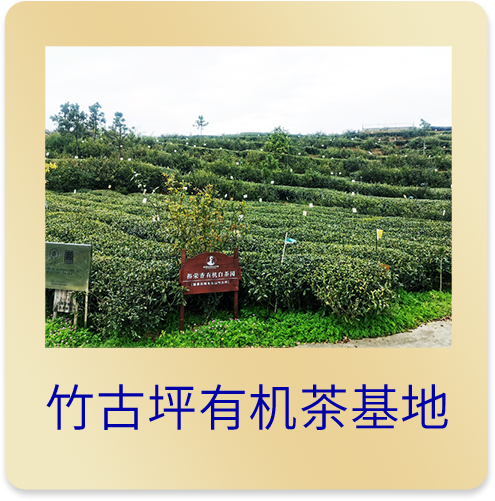 竹古坪·水门栏基地