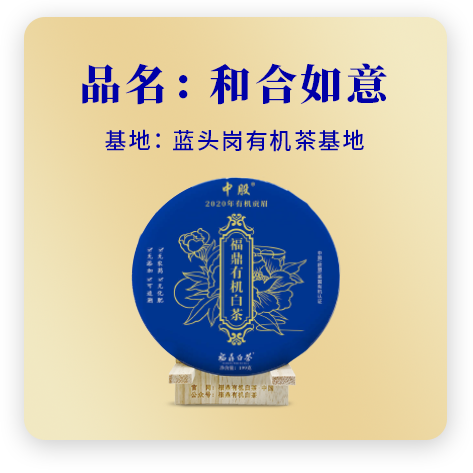 2020和合如意——贡眉