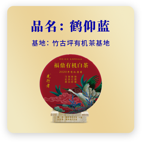 2020鹤仰蓝——寿眉