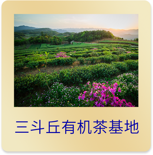 三斗丘·基地