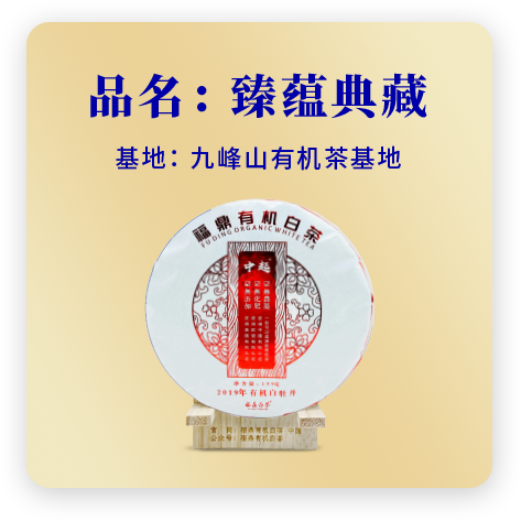 2019牡丹