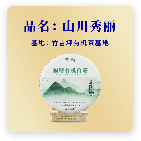 2020山川秀丽——牡丹