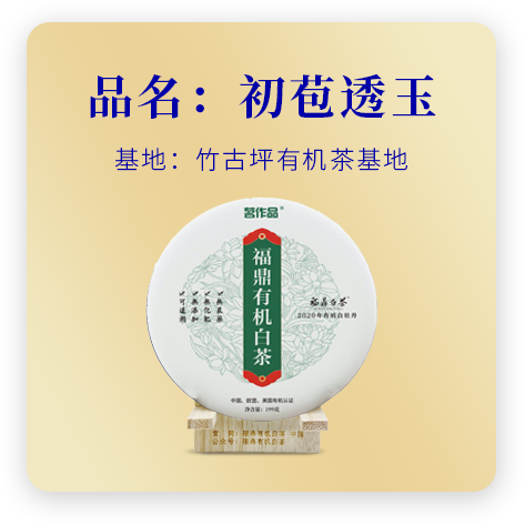 初苞透玉（有机白牡丹）
