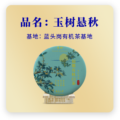2020玉树悬秋——寿眉