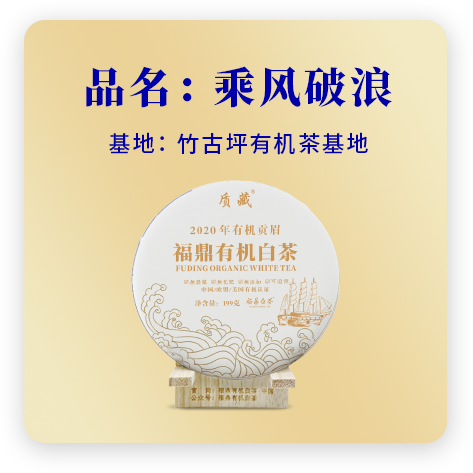 2020乘风破浪——贡眉