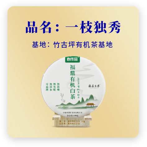 2020一枝独秀——牡丹