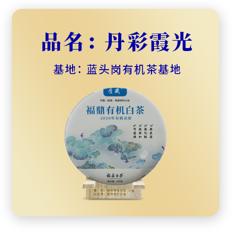 2020丹彩霞光——贡眉