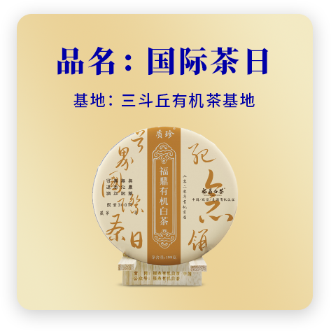 2020国际茶日——贡眉