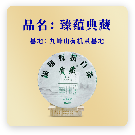 2019贡眉