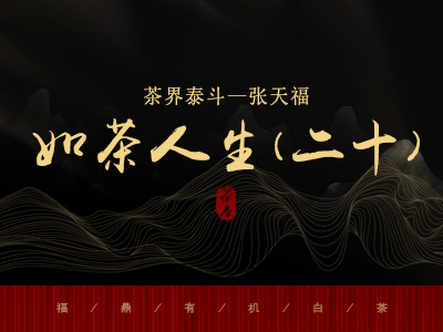 茶界泰斗 || 张天福如茶人生（二十）开始机器制茶
