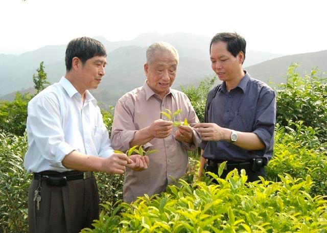 忘我工作，敬业奉献的大师风范