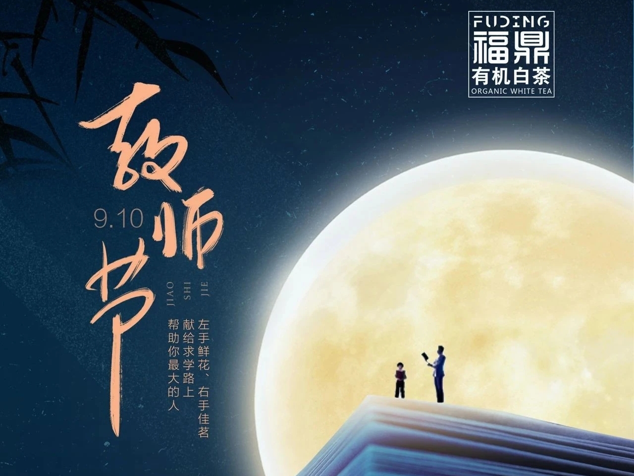 教师节丨品白茶，忆往事，谢恩师