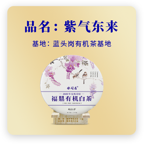 2020紫气东来——寿眉