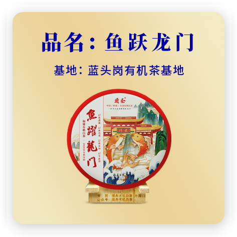 鱼跃龙门（2020有机寿眉）