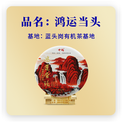 鸿运当头（有机寿眉）