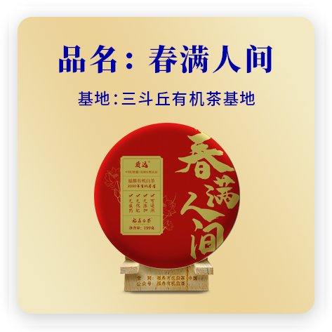 2020春满人间——寿眉