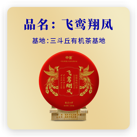2020飞栾翔凤
