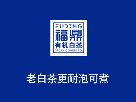 老白茶更耐泡可煮