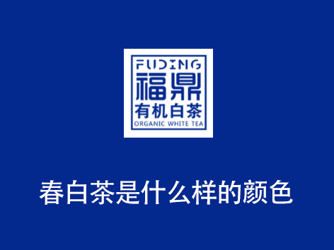 春白茶是什么样的颜色