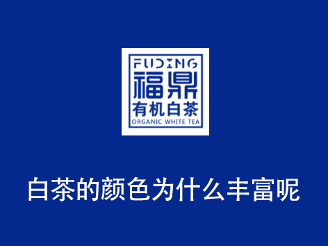 白茶的颜色为什么丰富呢