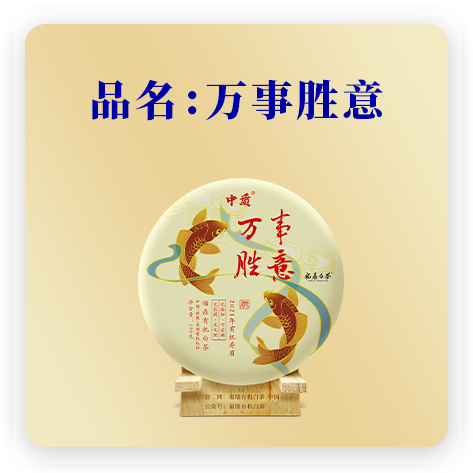 万事胜意