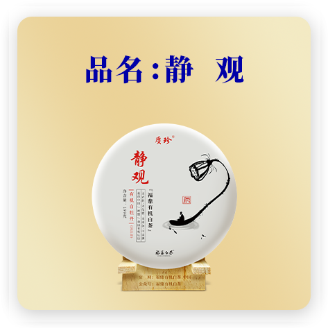 静观