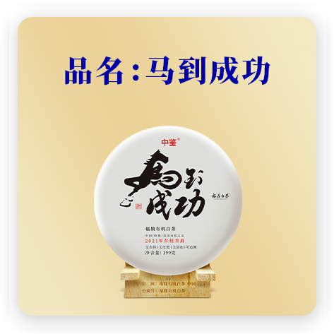 马到成功
