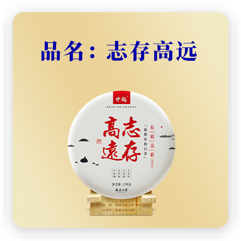 志存高远