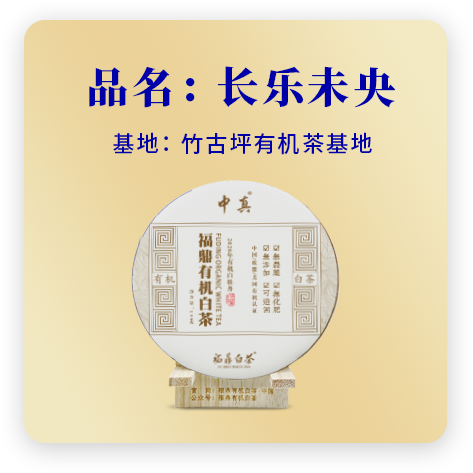 2020长乐未央——牡丹