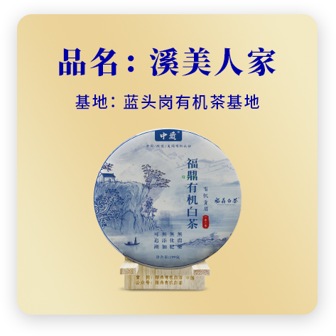 2020溪美人家——贡眉