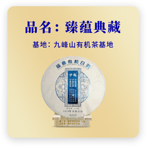 2019贡眉
