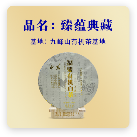 2019贡眉