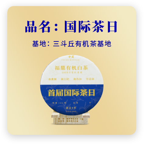 2020国际茶日——贡眉