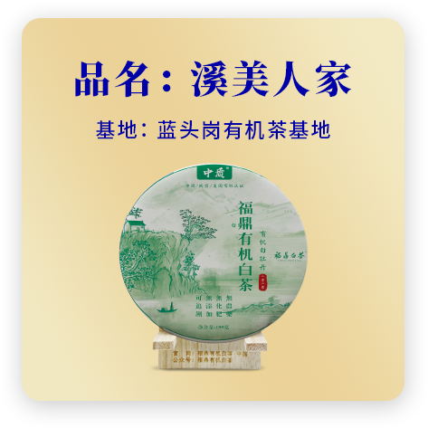 2020溪美人家——牡丹