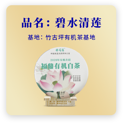 2020碧水清莲——寿眉