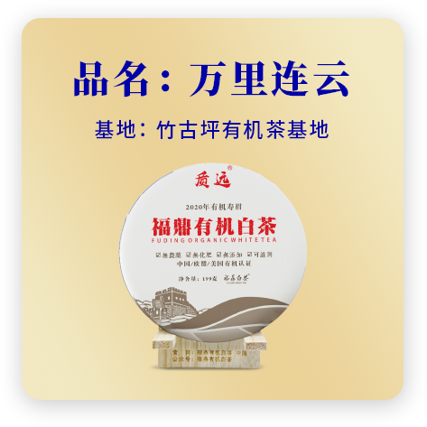 2020万里连云——寿眉