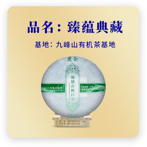 2019牡丹