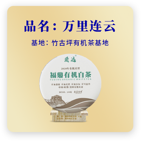 2020万里连云——贡眉
