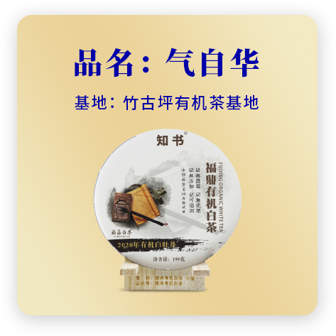 2020气自华——牡丹