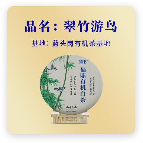 2020翠竹游鸟——贡眉