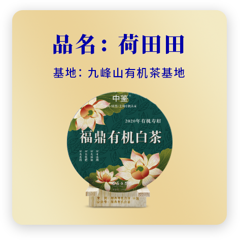 2020荷田田——寿眉