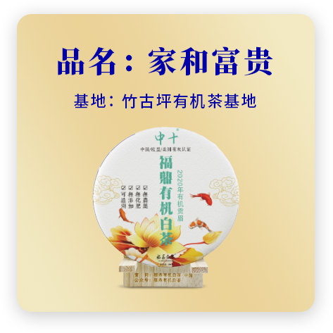 2020家和富贵——贡眉
