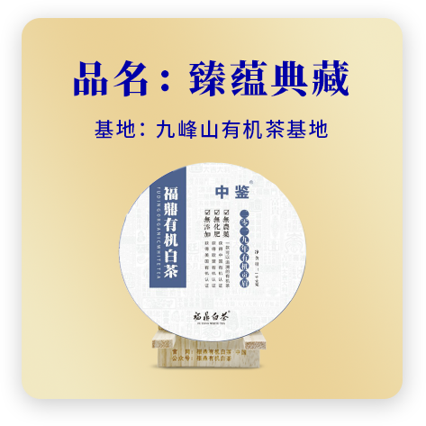 2019贡眉